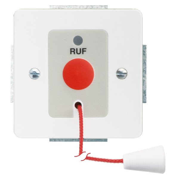 ***CALL BUTTON INSERT W/C  PNL PURE WHITE image 1