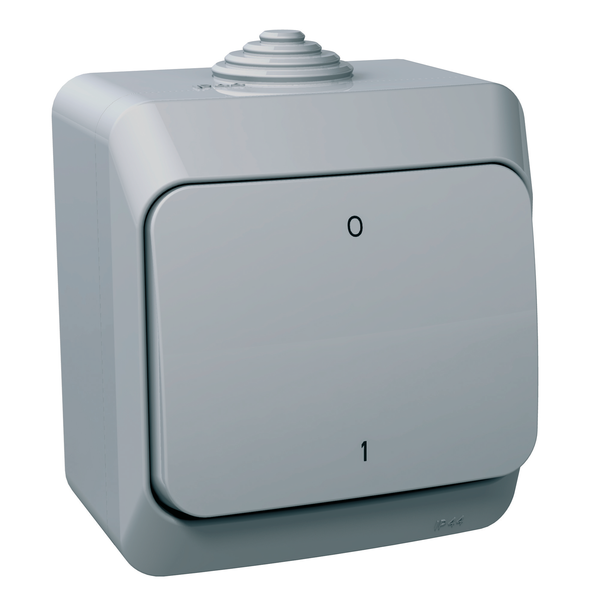 Cedar Plus - 2pole switch - 16AX, grey image 4