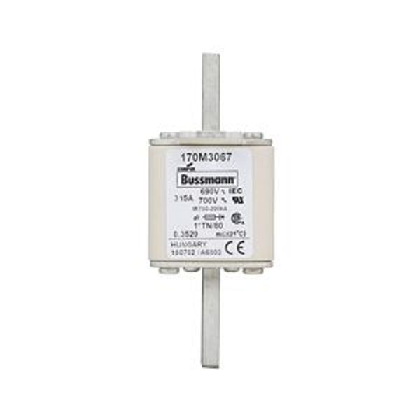 Fuse-link, high speed, 315 A, AC 690 V, compact DIN 1, 45 x 58 x 104 mm, aR, DIN, IEC, single indicator image 3