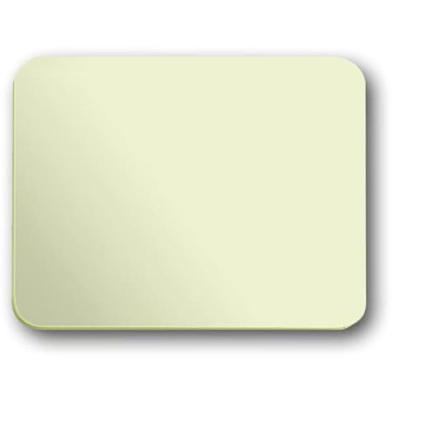 1786-22G CoverPlates (partly incl. Insert) carat® ivory image 1