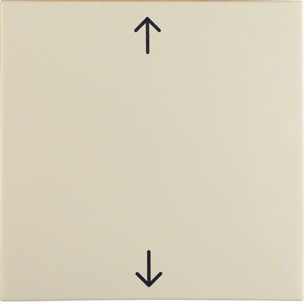 Rocker imprinted arrows symbol, S.1, white glossy image 1