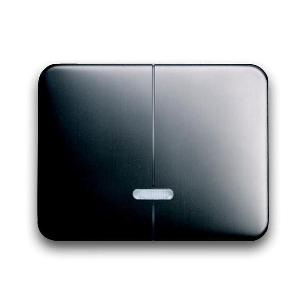 6545-20 CoverPlates (partly incl. Insert) carat® Platinum image 1