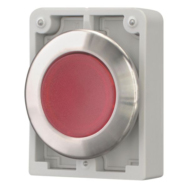 Illuminated pushbutton actuator, RMQ-Titan, flat, momentary, red, blank, Front ring stainless steel image 3