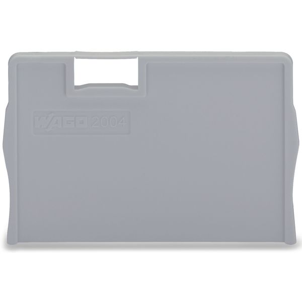 Seperator plate 2 mm thick oversized gray image 1