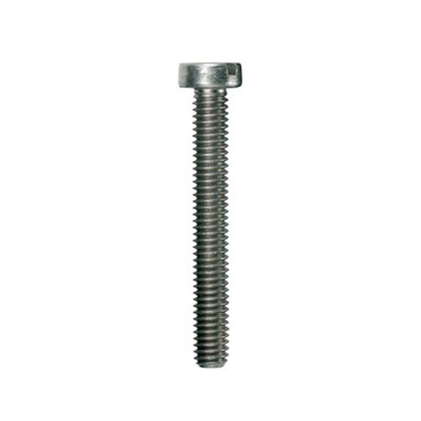 Mounting screw (Terminal), 0.00 M3.0 image 1