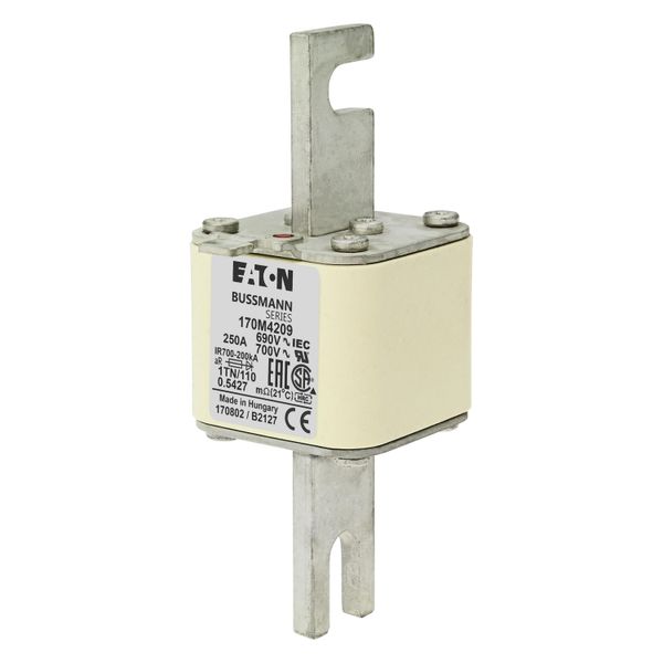 Fuse-link, high speed, 250 A, AC 690 V, DIN 1, 53 x 66 x 138 mm, aR, DIN, IEC, type T indicator image 6