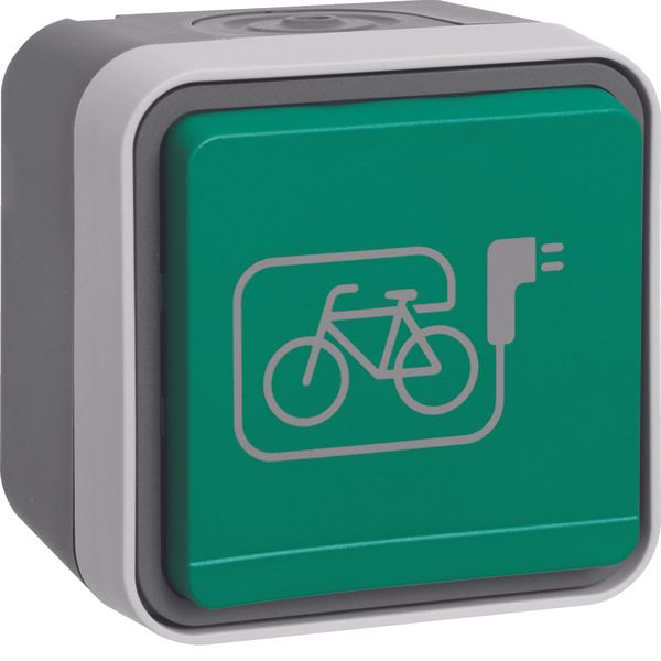 Soc.out. earth. pin+green hinged cover+impr.ed symb.e-bike surf.-mtd,W image 2