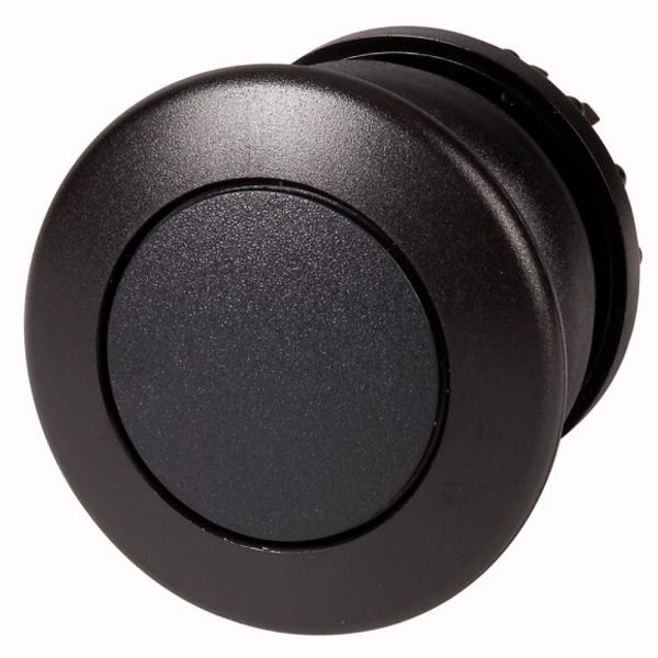 Mushroom actuator, RMQ-Titan, Mushroom, maintained, Mushroom black, black, Blank, Bezel: black image 1