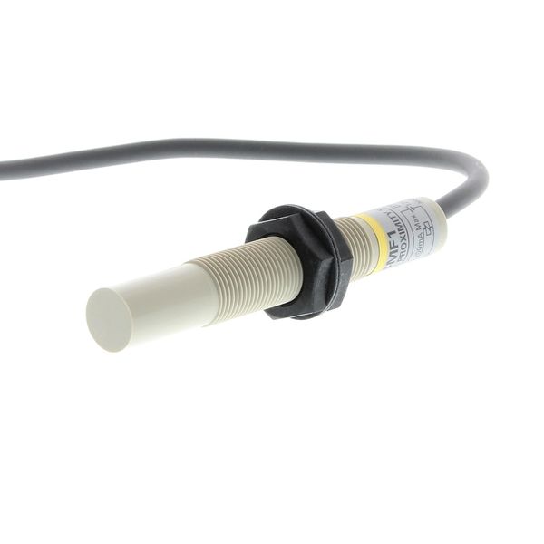 Proximity sensor, capacitive, M12, unshielded, 4 mm, AC, 2-wire, NO, 2 E2KX1031H image 3