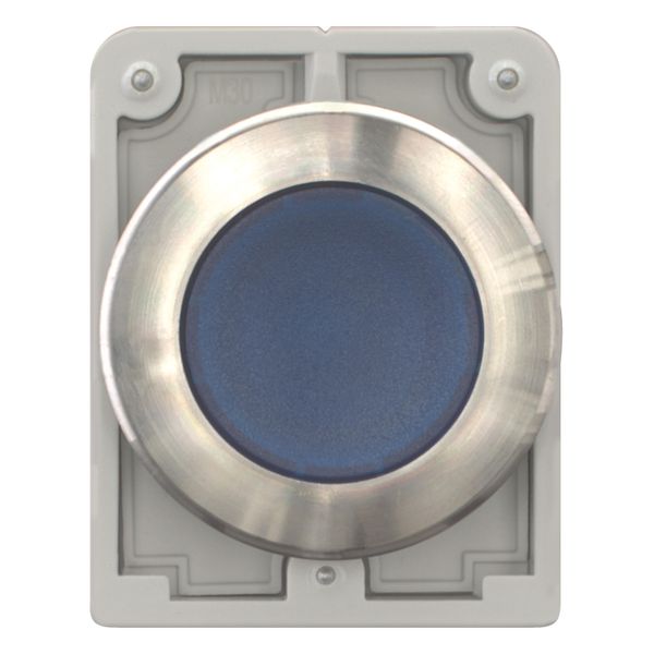 Illuminated pushbutton actuator, RMQ-Titan, flat, maintained, Blue, blank, Front ring stainless steel image 11