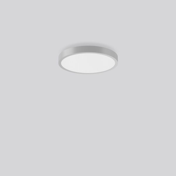 TRIONA round, 28 W, 3150 lm, 830, silver, DALI Ceiling and wall lumina image 1