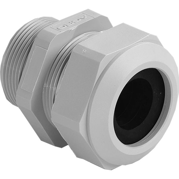 Cable gland Progress synthetic GFK Pg36 Light grey RAL 7035 cable Ø 30.5-35mm image 1