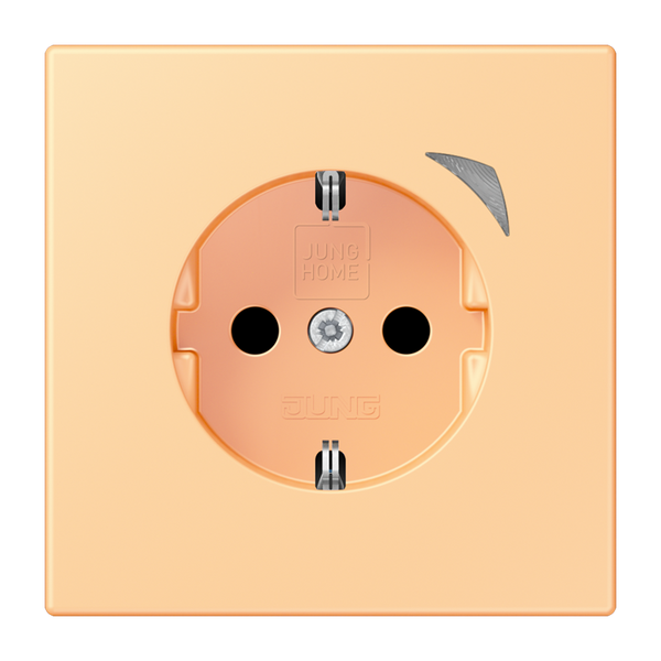 JUNG HOME SCHUKO socket Energy BTLC1521SE258 image 1