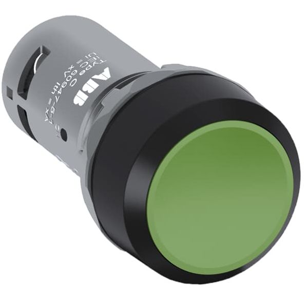 CP2-10Y-10 Pushbutton image 1