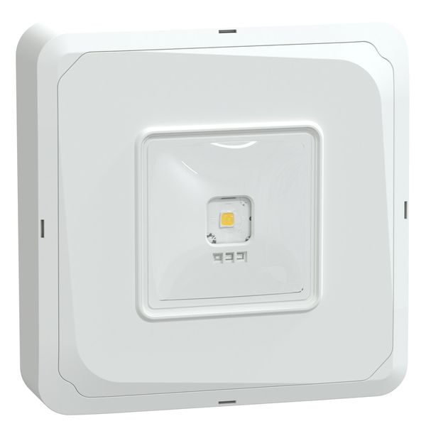 Exiway Smartbeam Activa - emergency luminaire - surface - escape - 3 h image 2