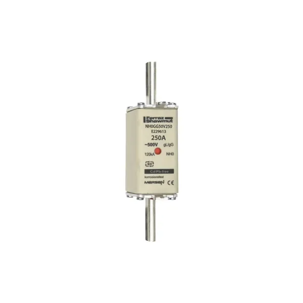 Fuse-link NH0 gG 500VAC 250A live tags Double indicator image 2