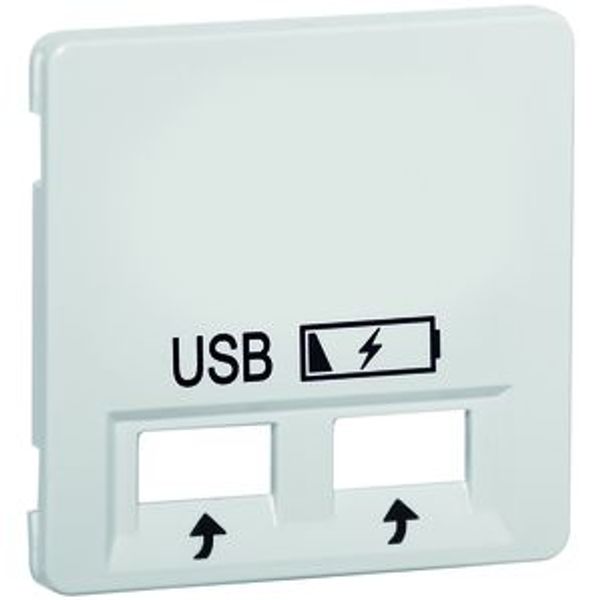 centraalplaat USB charger,diep-zwart image 1