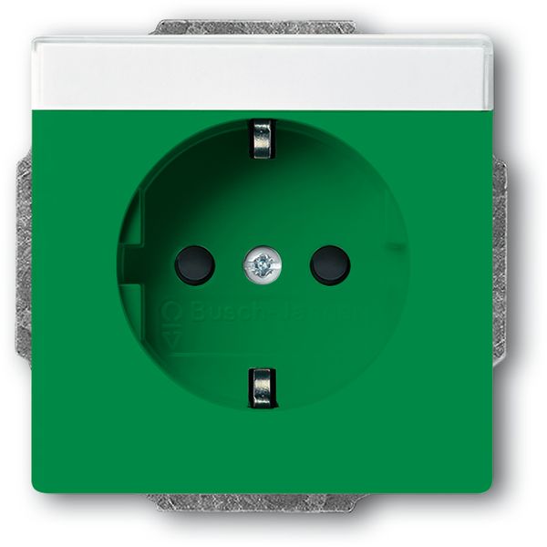20 EUCNB-13-82 CoverPlates (partly incl. Insert) future®, Busch-axcent®, solo®; carat®; Busch-dynasty® Green, RAL 6032 image 1