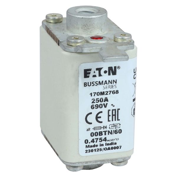 Fuse-link, high speed, 250 A, AC 690 V, size 00, 30 x 62 x 64 mm, aR, IEC, single indicator image 11