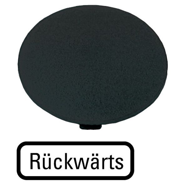 Button plate, mushroom black, REVERSE image 1