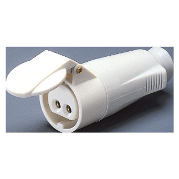 STRAIGHT CONNECTOR - IP44 - 2P 16A 20-25V and 40-50V d.c. - WHITE - 10H - SCREW WIRING image 1