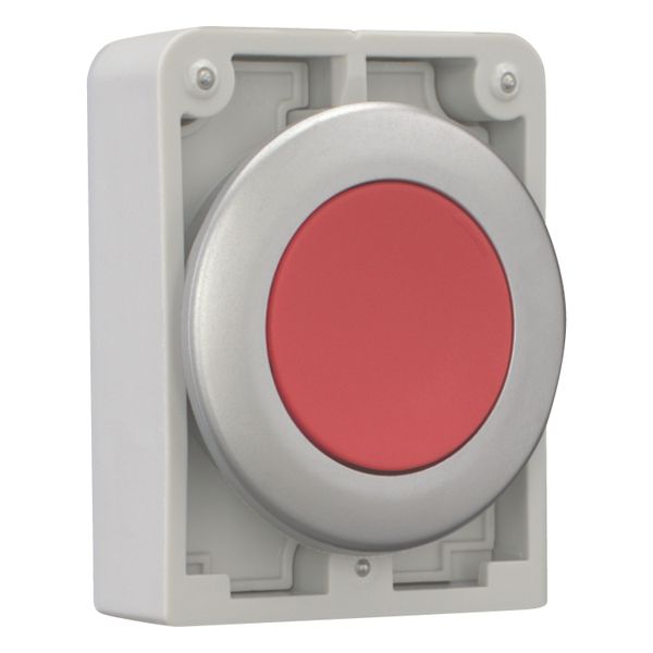 Pushbutton, RMQ-Titan, Flat, momentary, red, Blank, Metal bezel image 12