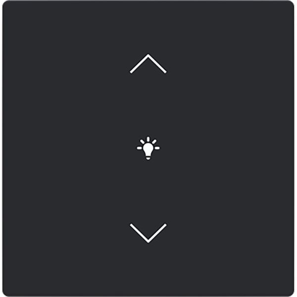 Cover for dimmer icon 1. Rocker keypad 63 image 1