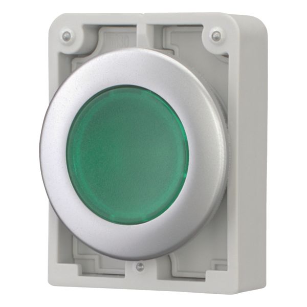 Illuminated pushbutton actuator, RMQ-Titan, Flat, momentary, green, Blank, Metal bezel image 3