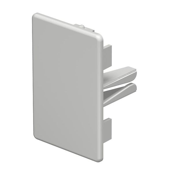 WDKH-E40060LGR End piece halogen-free 40x60mm image 1