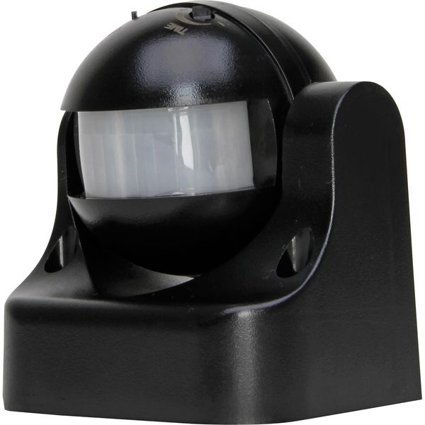 Motion detector 180 degree, black image 1