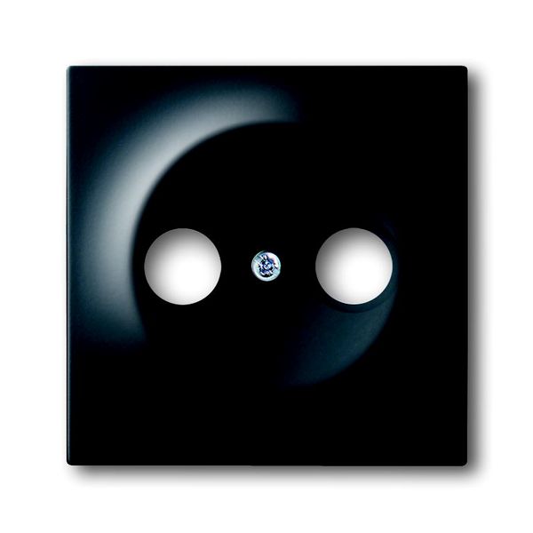 1743-775 CoverPlates (partly incl. Insert) carat® black matt image 1