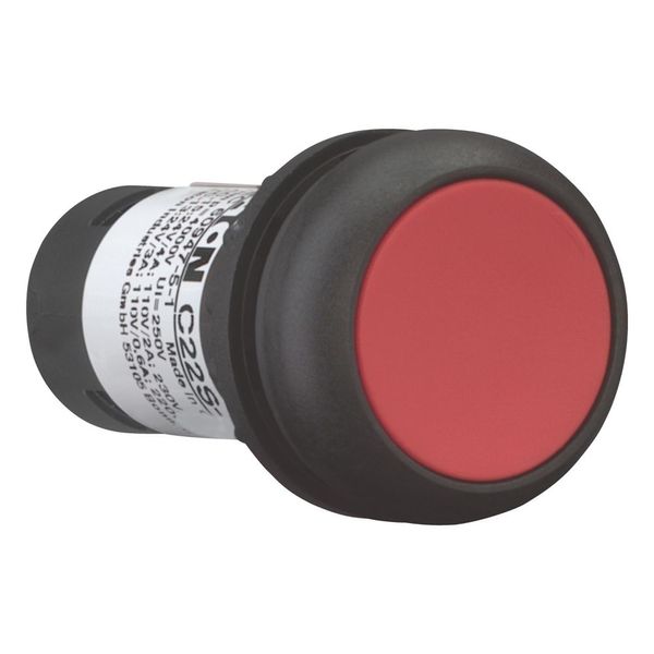 Pushbutton, Flat, maintained, 1 NC, 1 N/O, Screw connection, red, Blank, Bezel: black image 12