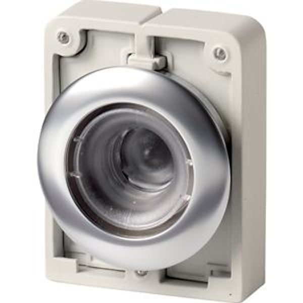 Illuminated pushbutton actuator, RMQ-Titan, flat, momentary, Front ring stainless steel image 2