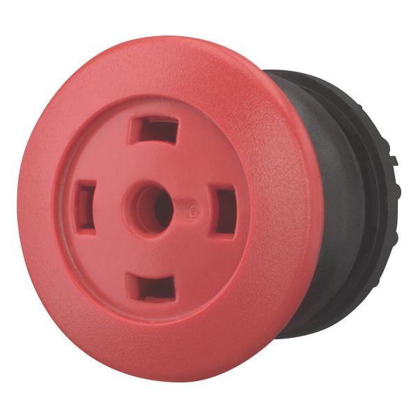 Mushroom actuator, RMQ-Titan, Mushroom, momentary, Mushroom red, Without button plate, Bezel: black image 2