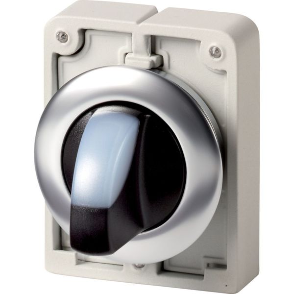 Illuminated selector switch actuator, RMQ-Titan, with thumb-grip, maintained, 2 positions (V position), White, Front ring stainless steel image 3