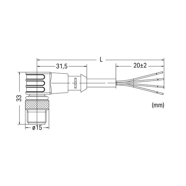 Power cable M12B socket straight 4-pole image 5