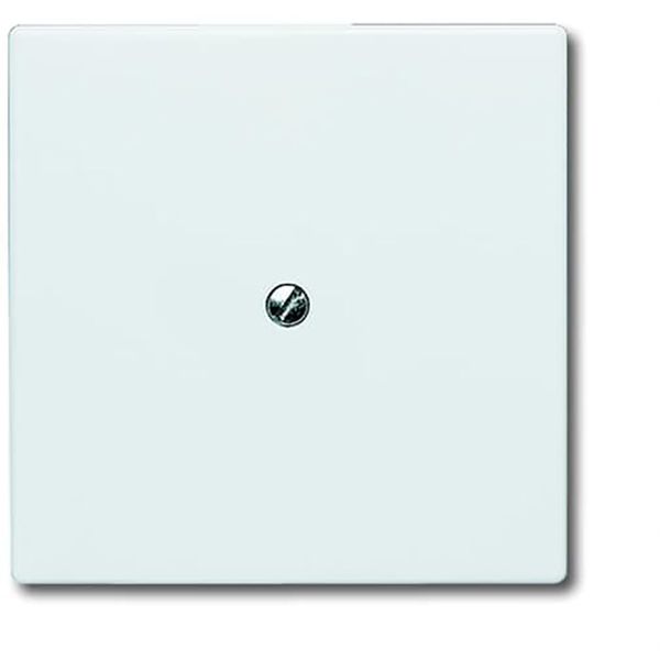 2138-34 CoverPlates (partly incl. Insert) Flush-mounted, water-protected, special connecting devices Alpine white image 1