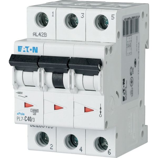 Miniature circuit breaker (MCB), 40 A, 3p, characteristic: C image 2