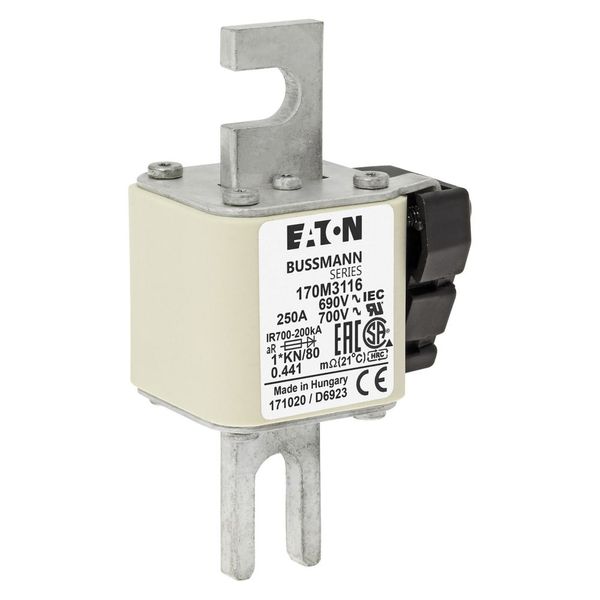 Fuse-link, high speed, 250 A, AC 690 V, compact DIN 1, 45 x 59 x 104 mm, aR, DIN, IEC, single indicator image 16