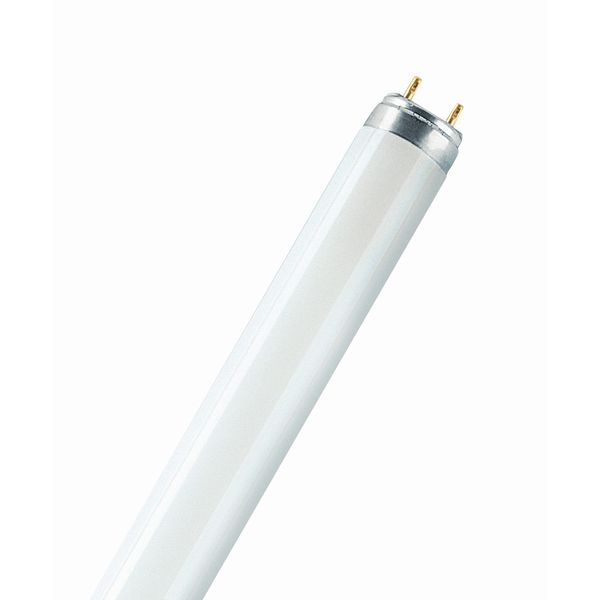 Fluorescent Bulb Food Luxe 58W T8 NORDEON image 1