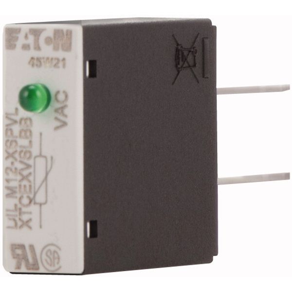 Varistor suppressor circuit, +LED, 24 - 48 AC V, For use with: DILM7 - DILM15, DILMP20, DILA image 3