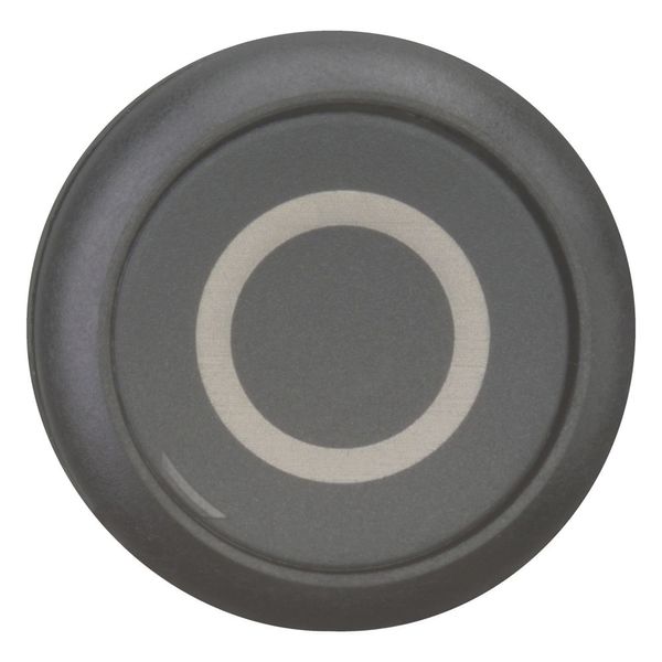 Pushbutton, RMQ-Titan, Flat, maintained, black, inscribed, Bezel: black image 9