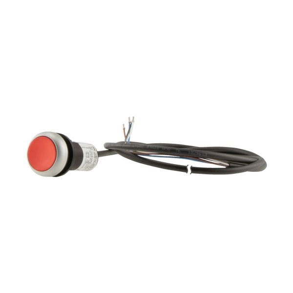 Pushbutton, classic, flat, maintained, 1 N/C, red, cable (black) with non-terminated end, 4 pole, 3.5 m image 12