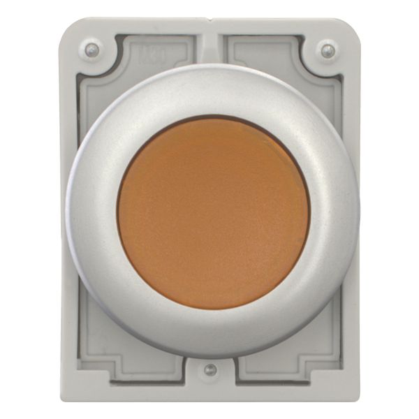 Illuminated pushbutton actuator, RMQ-Titan, Flat, maintained, orange, Blank, Metal bezel image 11