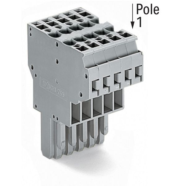 2-conductor female connector CAGE CLAMP® 4 mm² gray image 3