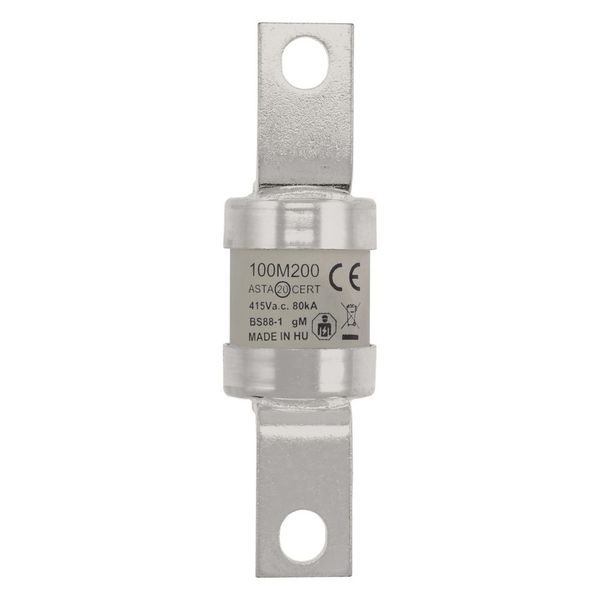 Fuse-link, low voltage, AC 415 V, BS88/A4, 31 x 110 mm, gM, BS image 22