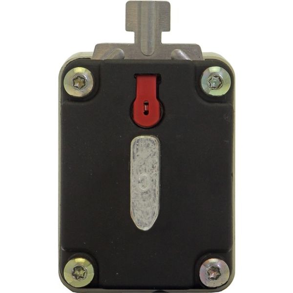 Fuse-link, LV, 160 A, AC 400 V, NH1, gFF, IEC, dual indicator, insulated gripping lugs image 2