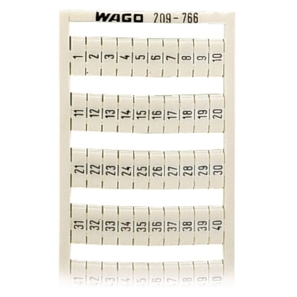 WSB marking card as card MARKED white image 1