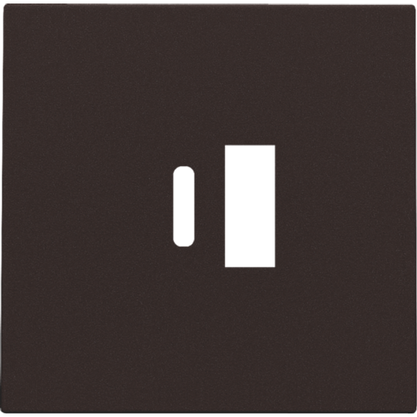 Finishing set for dual smart USB-A and USB-C charger, dark brown coate image 1