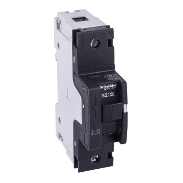 Miniature circuit-breaker, Acti9 NG125H, 1P, 80 A, D curve, 36 kA (IEC 60947-2) image 2